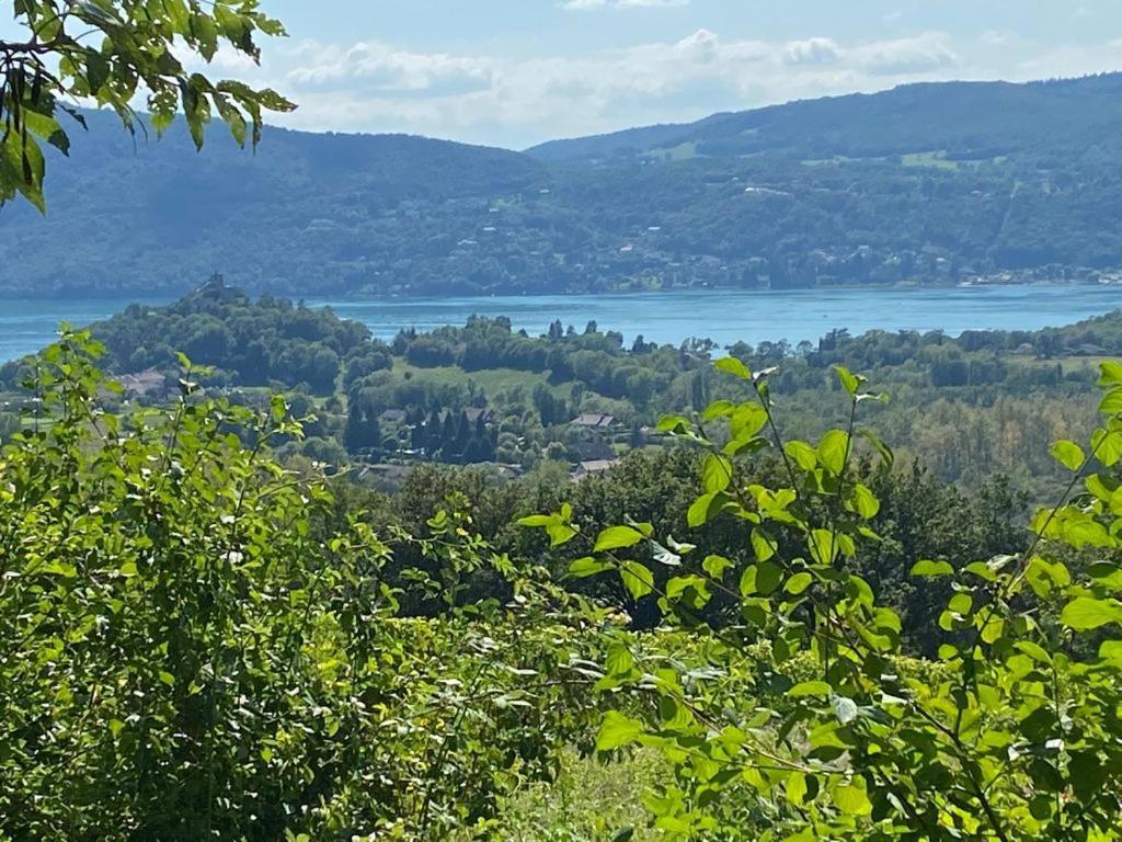 Du Vent Dans Les Arbres -120M2 Belle Vue Sur Le Lac Chindrieux Экстерьер фото